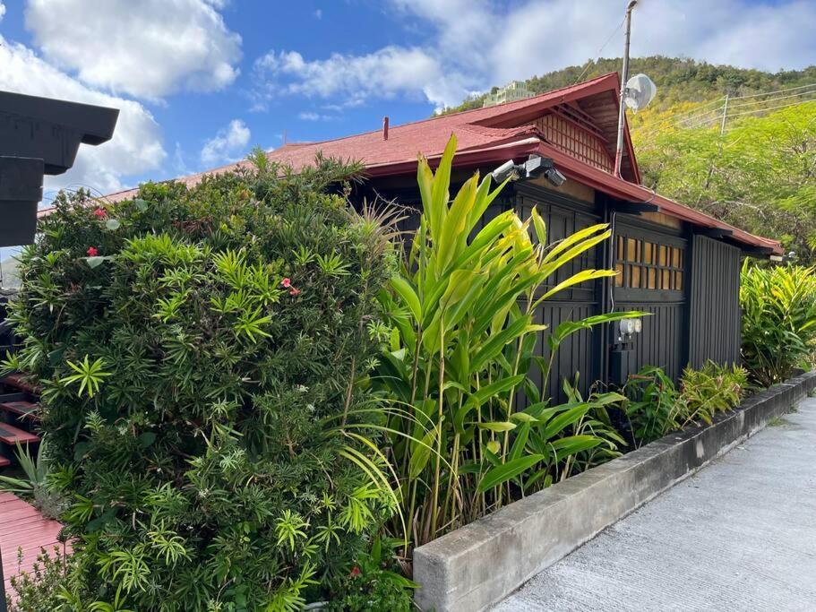 Apartamento Mid-Century: Caribbean Style Contant  Exterior foto